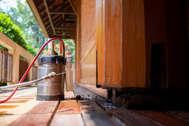 Best Wasp Removal Services  in Hokendauqua, PA