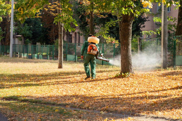 Best Termite Control Services  in Hokendauqua, PA